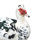 Muscovy duck on a white background