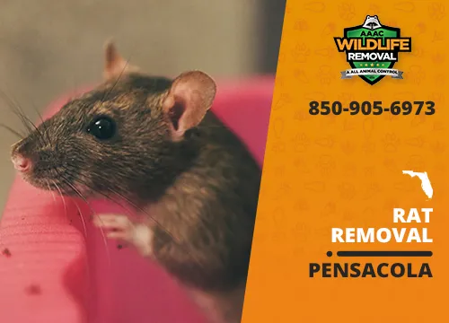 Is There a Humane Way to Get Rid of Rats? - Turner Pest Control